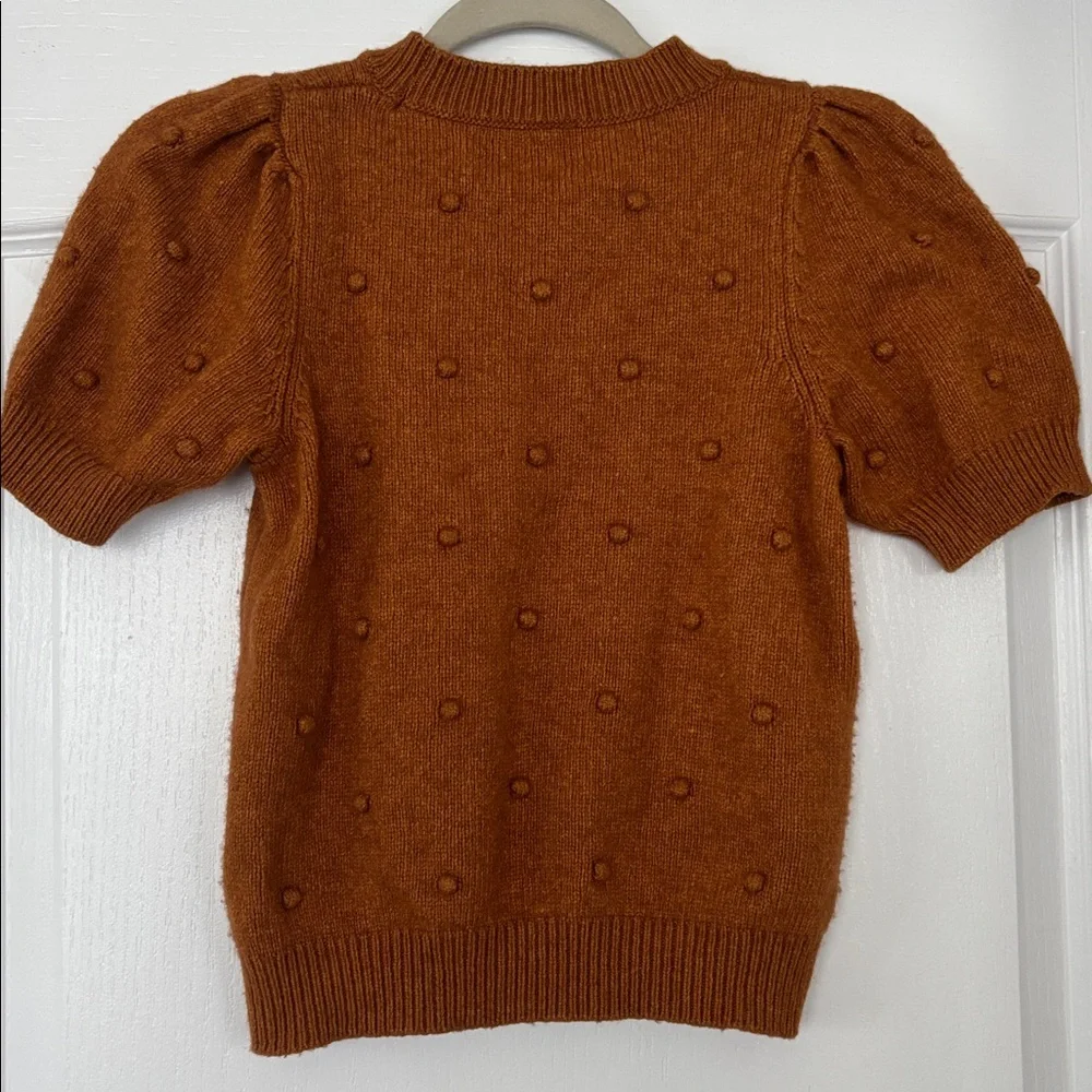 Anthropologie Knit Sweater with Popcorn Accents - Picture 4 of 4